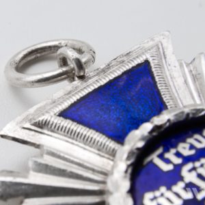 15-Year Long Service Award in the NSDAP   