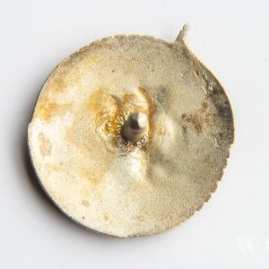 Local Conflict Badge 