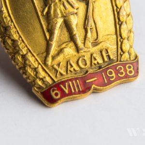 Local Conflict Badge 