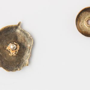 Badge of distinction 