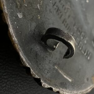 Naval military badge [Schwerin]   