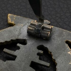 Naval military badge [Schwerin]   