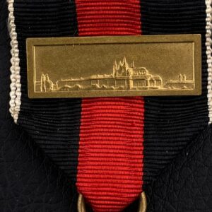 Sudetenland Medal with 'Prager Burg' ('Prague Castle') bar Original case 