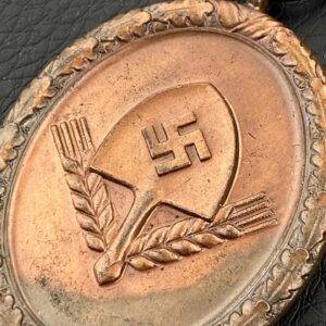 4-Year Long Service Award in the RAD   