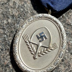 12-Year Long Service Award in the RAD   