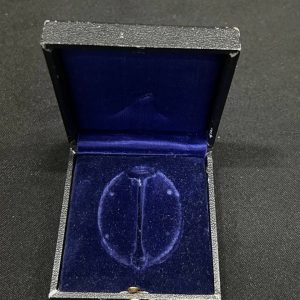 Aviator Badge    Original case