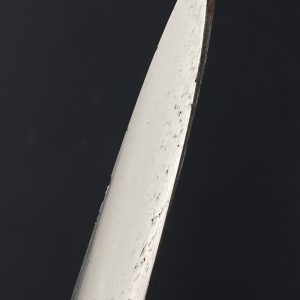 Officer sword of Third Reich     