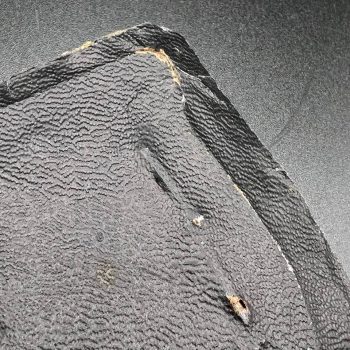 Kuban Arm Shield for infantry units  