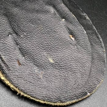 Kuban Arm Shield for infantry units  