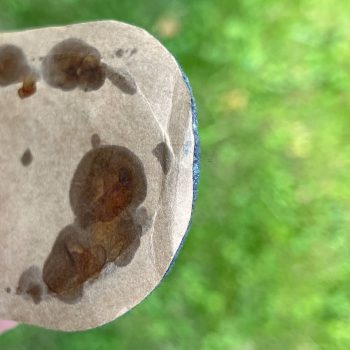 Crimea Arm Shield for Luftwaffe units  