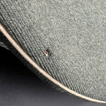 Visor Cap Wehrmacht  