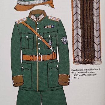 Shako of Police Officer