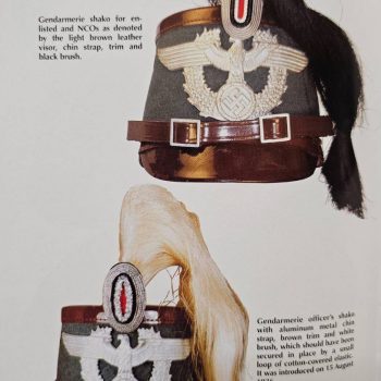 Shako of Police Officer