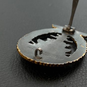 Naval military badge [Schwerin]   