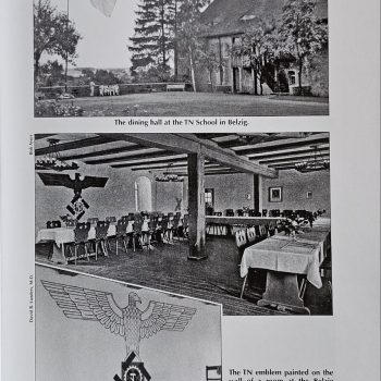 Dagger of the Leader of the Technical Emergency Corps (TeNo), Model 1938  [Carl Eickhorn]   